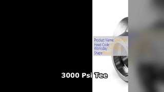 3000 Psi Reduzier-T-Stück für Hochdruckindustrie