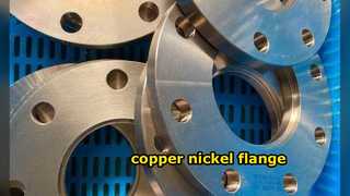 Kupferne Nickel-Flansche
