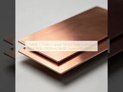C70600 C71500 Kupfer-Nickel-Platte, korrosionsbeständig