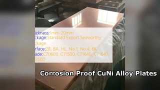 CuNi 90 10 und 70 30 Legierungsplatten, korrosionsbeständig