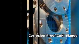 CuNi 70/30 Flansch Chemische Verwendung