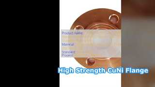 C71500 70 30 CuNi WNRF-Flansch, Klasse 1500, hohe Festigkeit