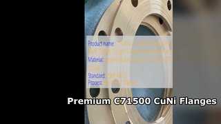 C71500 CuNi 70 30 Vorschweißflansch Premium geschmiedete Qualität